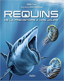 Requins. De la préhistoire à nos jours